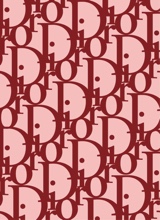 DIORxDOLL