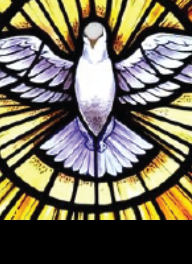 Guest_PastorJake