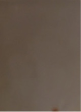 Guest_TreyHvncho