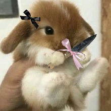 Guest_Lalissinha