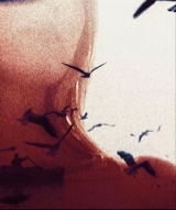 avatarbild