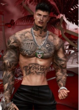 Avatar Bild