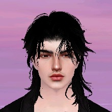 Guest_Tara741044