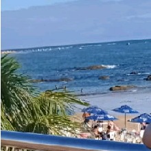 Guest_Maria891693