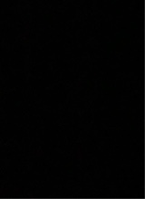 Guest_RickyJ30232