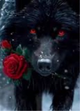 Guest_TJ224084