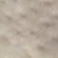 Guest_Tasha143096