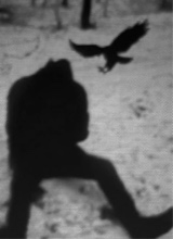 Bjfrm64