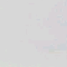 صورة الـavatar