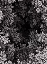 Guest_ImAnomaly