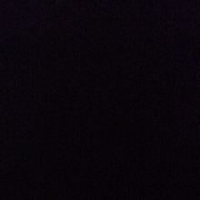 Guest_Fucek2