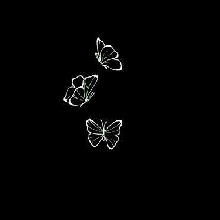 صورة الـavatar