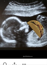 Dabesttacoever