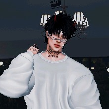 llxAnakinxll