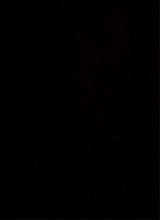 Guest_koki480048