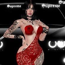 Guest_Celeste488537