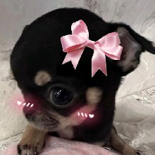 Guest_Vayoleth8