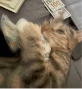 Guest_dacooliestsmofo