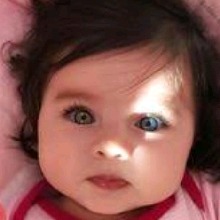 Guest_Laurinha455626