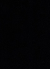 avatarbild