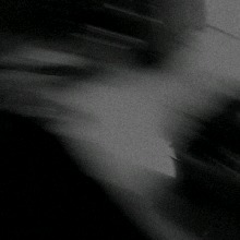 Guest_MON4CO