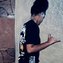Guest_araujo002