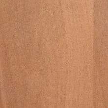 PAPITOMIREY1