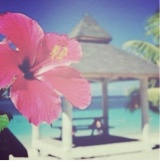 Guest_orchidargent7e63
