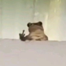 صورة الـavatar