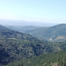 avatarbild