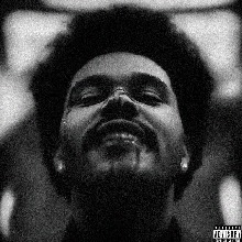 Guest_dominarzeroba59
