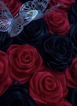 Guest_JayJay438121