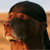foto del avatar