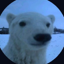 Guest_Roguekiid