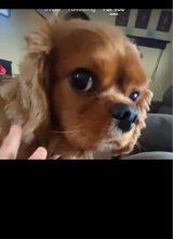 Guest_RiRibebe22