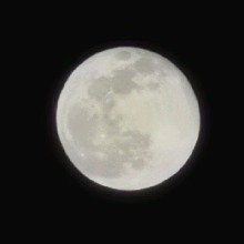 Guest_AlexisMejia1