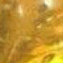 Guest_Guilherme15161