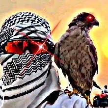 Guest_miguelzilhoZL