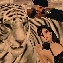 Guest_Cielo713158