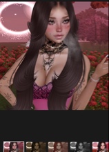 sahar009