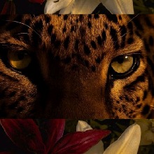 Guest_gessica495250
