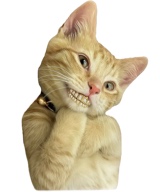 immagine avatar
