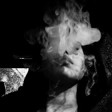 immagine avatar