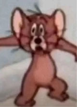 Loryauna