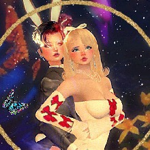 Guest_Dalya14