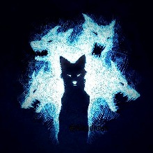 Guest_Maria416242