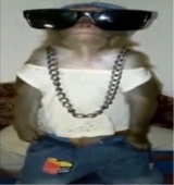 pssyprnt69