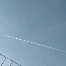 Guest_abbesspiscesaa33