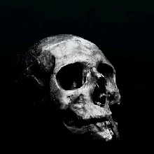 Guest_Death316514
