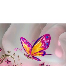 Guest_sarita0880